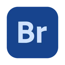 Adobe bridge macOS icon by vale