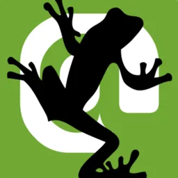 Screaming Frog SEO Spider macOS icon by danielrumata