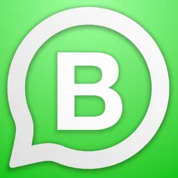 WhatsApp Business macOS icon by alananayaa