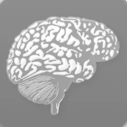 BioImage (Clear Light) macOS icon by designer