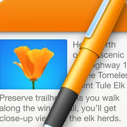 Pages  macOS icon by xyaia