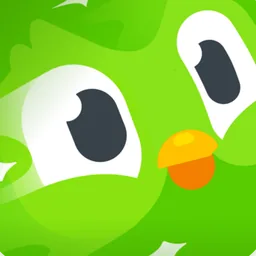 Duolingo macOS icon by baer