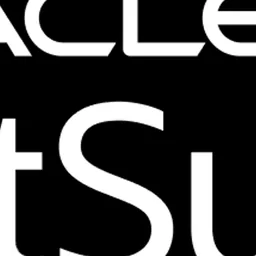 NetSuite macOS icon by burkybang
