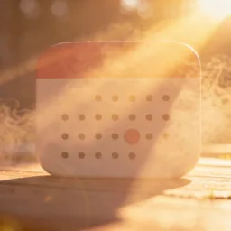 Calendar icon in the Sunset style for macOS