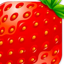 Strawberry Music Player icon for macOS