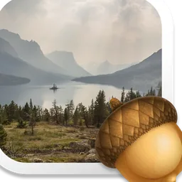 Acorn 7 icon for macOS