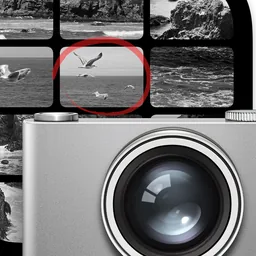 Image Capture macOS icon by schneidericons